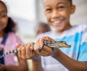 A little boy wearing a blue and white shirt smiles while holding a baby alligator, while a little girl wearing overalls watches.