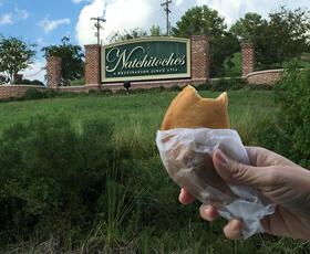 Natchitoches Meat Pie