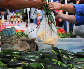 Red Stick Farmers Market in Baton Rouge Louisiana
